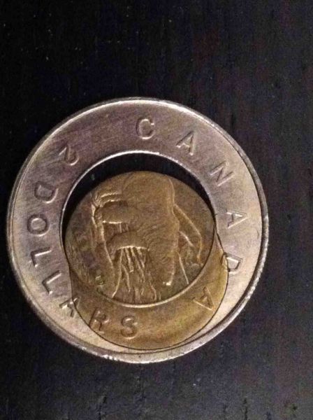 1996-Toonie-Grade?